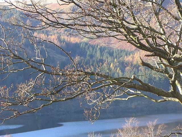 View Across Thirlmere Lake