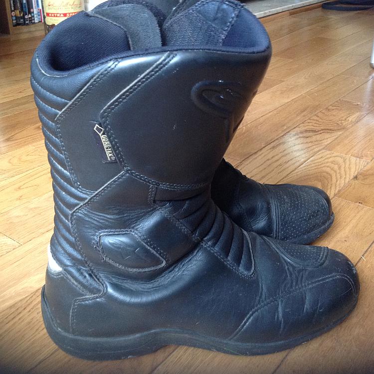 The Aplinestars Web Gore-Tex boots side on view