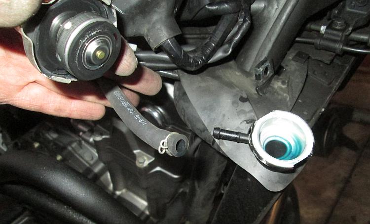 The cap is off the radiator showing the blue radiator fluid in the hole