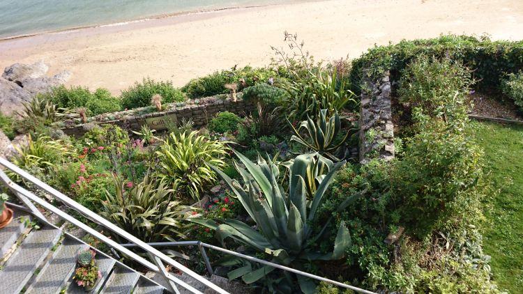 Various exotic plants grow in a garden on the cliffs overlooking the beach at Tenby
