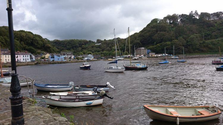 The harbour has steep tree lined hillsides around and a few pleasant houses at Fishguard harbour