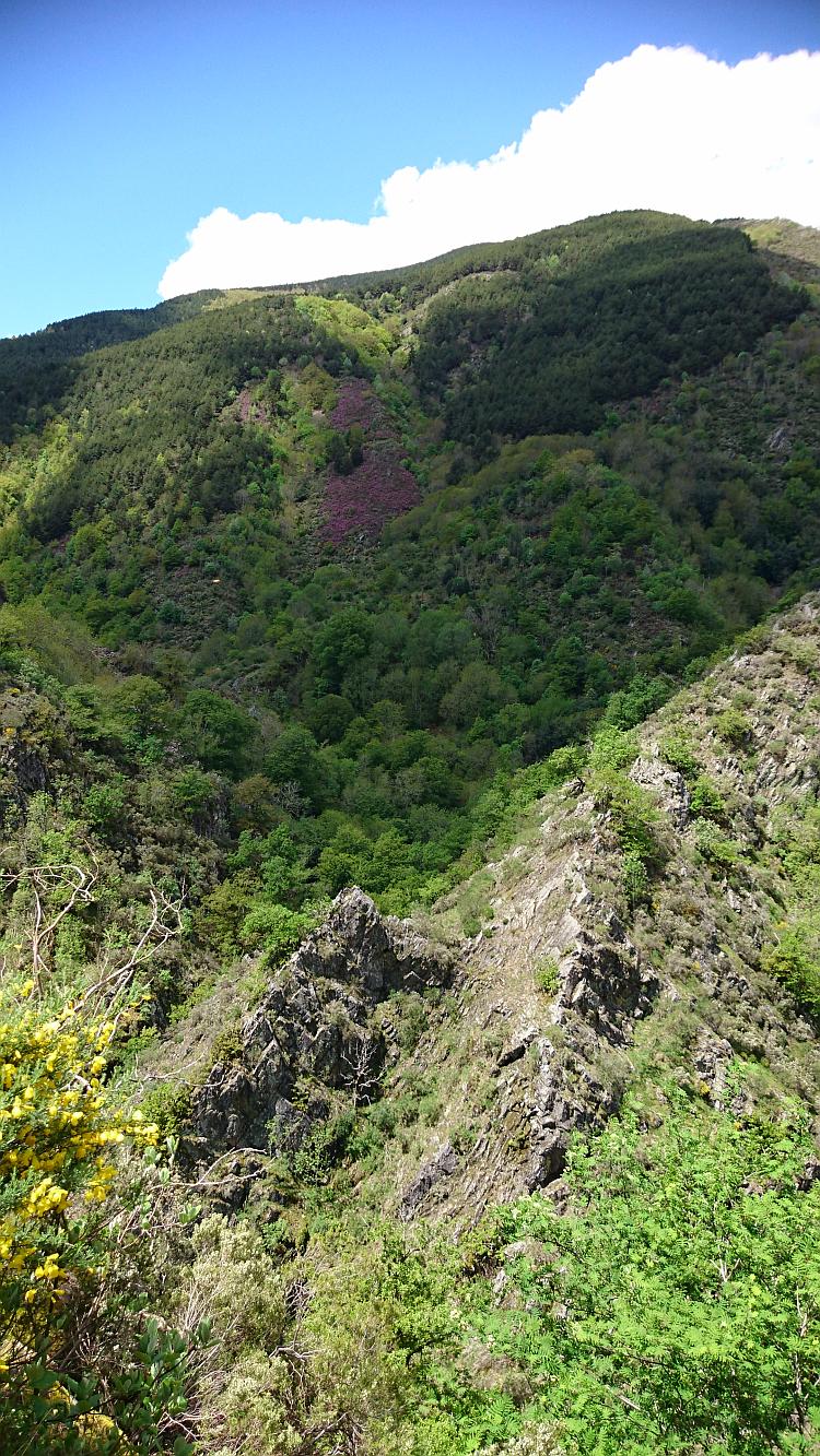 More steep hillsides with scrub and tree coverings and rocky groins and ridges