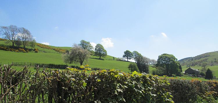 Rolling green hills with trees and grass in the countryside near Ruting