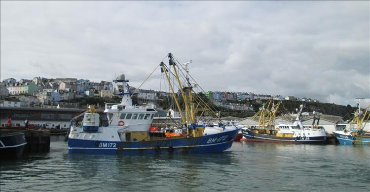 As we leave the harbour on the ferry we see the fishing trawlers in Brixham