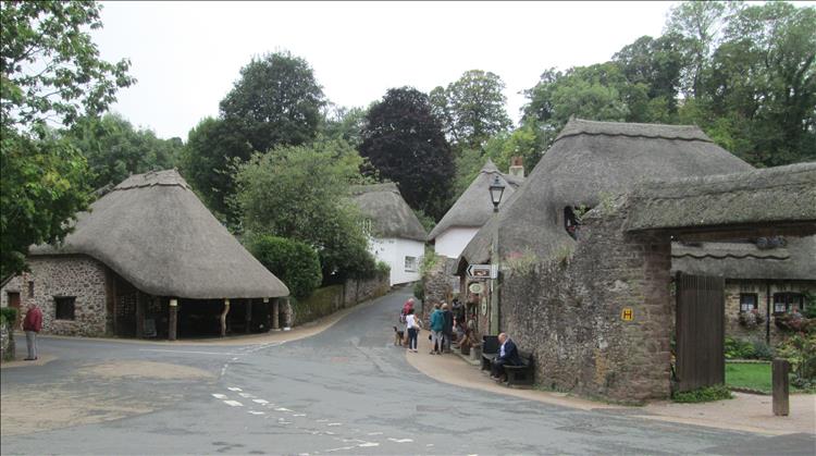 thatched buildings, trees and quaint streets in Cockington