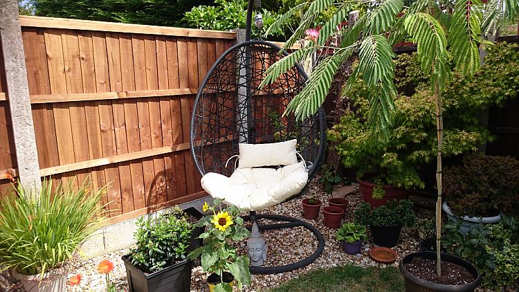 A hanging egg shaped chair in the corner of Sharon's garden filled with flowers and sun