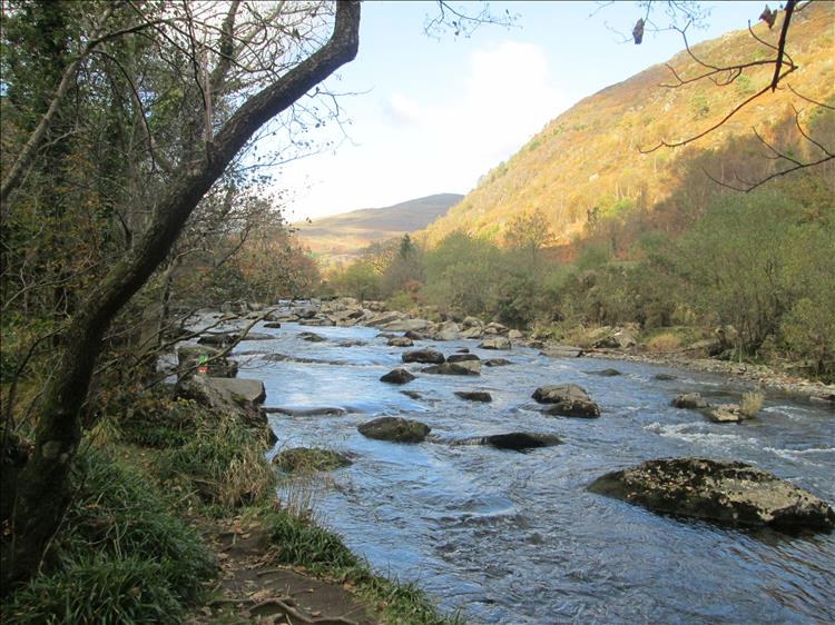 Trees, the river with rocks and boulders, steep valley sides, contrast and sunlight all in a welsh setting