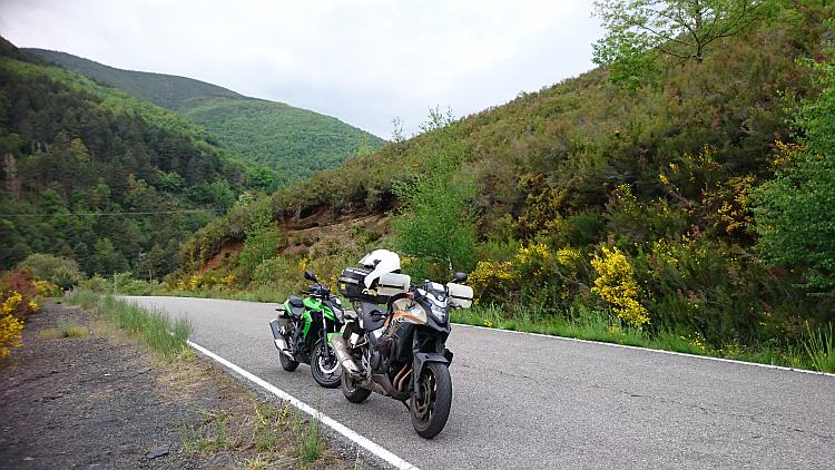 The 2 motorcycles on a road surrounded by thick green bushes, grasses, trees and scrub