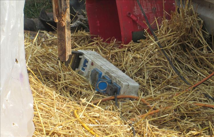 A mains adapter on the straw in a poly tunnel at Coity Bach