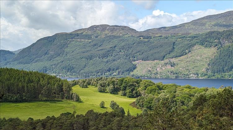 Trees, hillside, Loch Ness, an amazing Highland scene