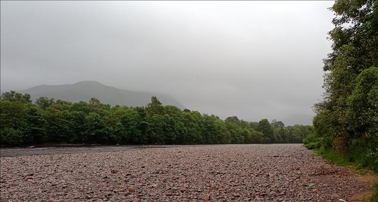 Trees along a pebbly river and thick mist with a small hill visible in the foreground