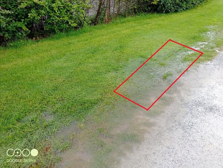 A puddle in the grass with a line showing approximately where Sharon was sleeping