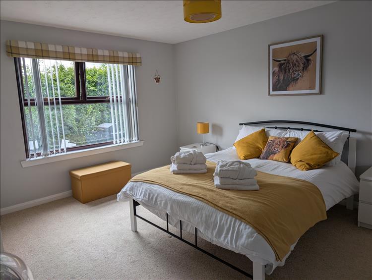 A smart crisp room with artistic Highland cow picture on the wall and on the pillow