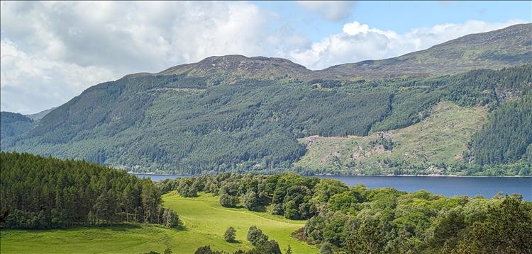 Trees, mountains, a Loch and generally lovely vista
