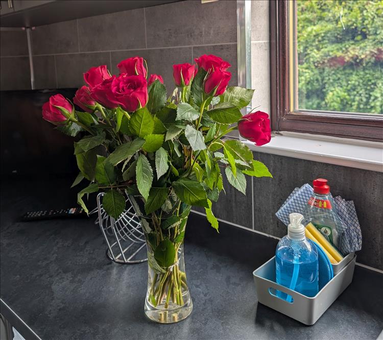A bunch of vibrant red roses in a vase