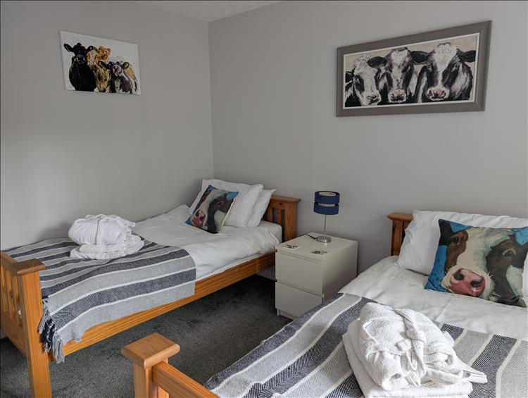 This room has pillows and picture with friesian cows on them