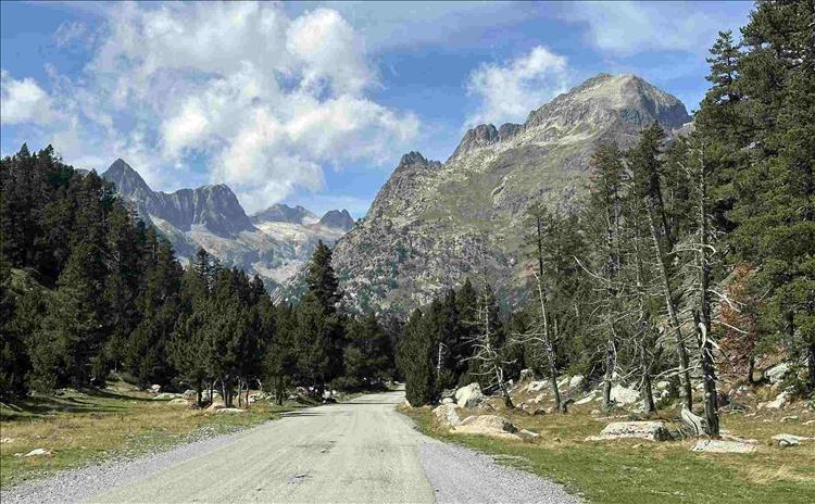 Towering mountains with steep rock sides, tall trees and a gravel road