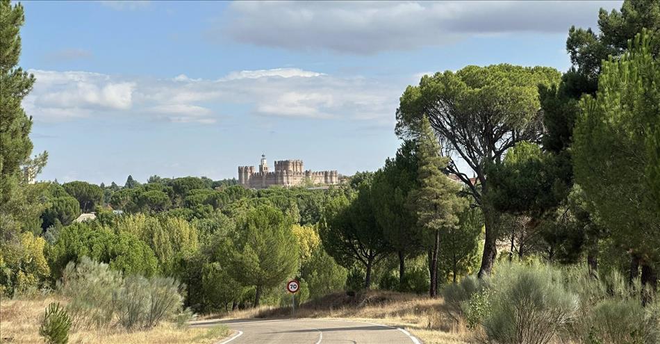 Trees and the road and between the trees a castle looking complete and grand