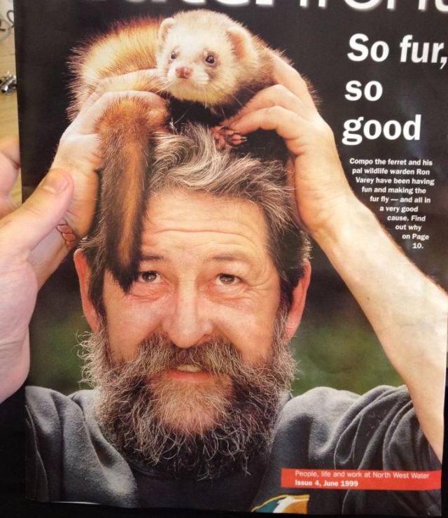 Ron Varey, a man with a beard and his pet ferret on his head