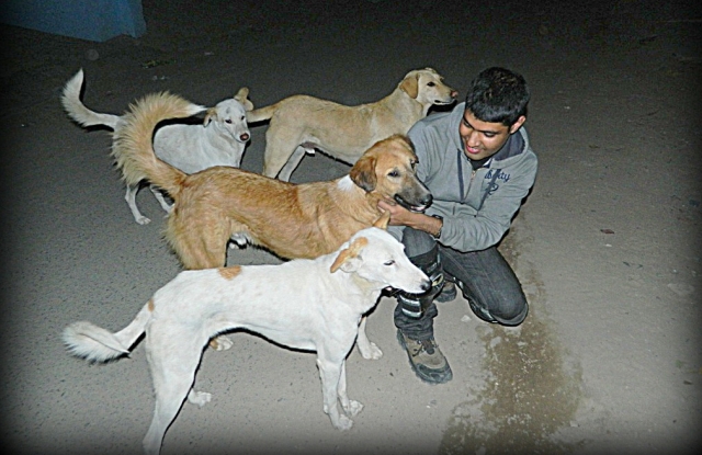 arjun frolicking with 5 dogs on a dark street in india