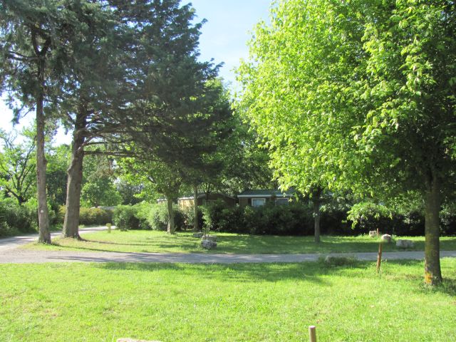 trees, grass and sunshine at the campsite municipal la bastide near nimes