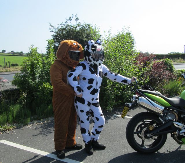 2 bikers dressed as dogs pretending to breed on a hot sunny day in westhoughton