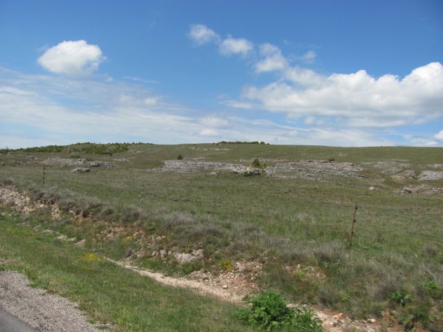 hard grasses and rocky outcrops at the side of the road