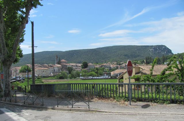 a red tiled town basking in sun and a tree covered mountain rises behined it in france