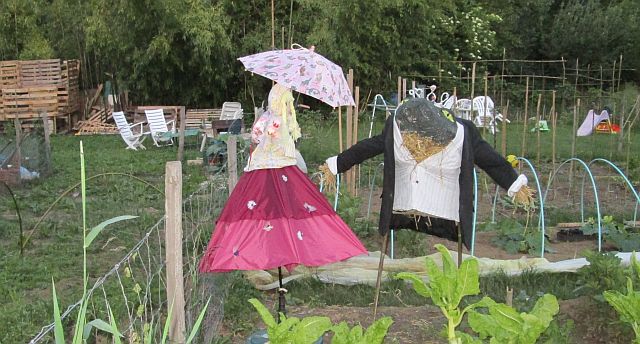 scruffy allotments and strange scarecrows