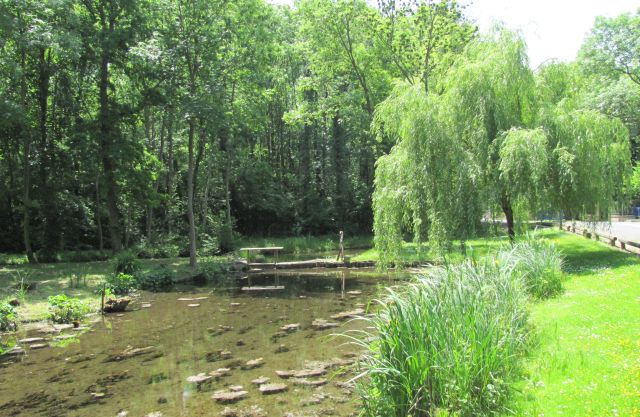 peaceful and beautiful river in the trees at fountaine sous jouy