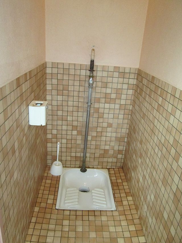 the french turc toilet, just the hole and somewhere to squat
