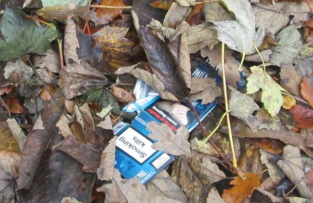 a cigarette packet among autumnal leaves