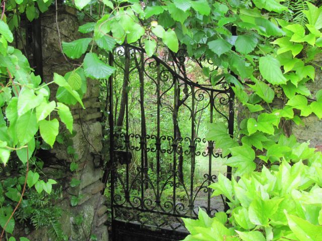 the iron gate filled with leaves and vines