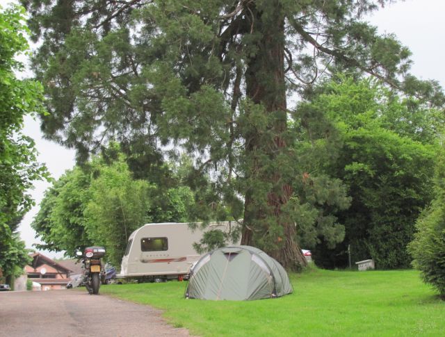Our small tent and a caravan under a huge thick tall pine tree