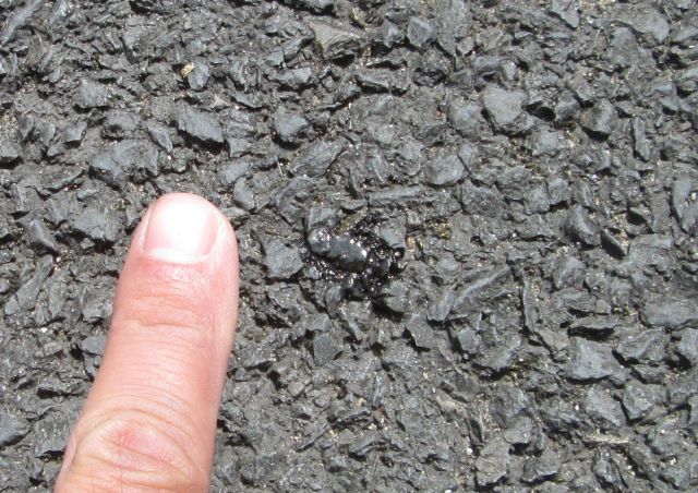 just a drop of oil on the tarmac next to my finger for scale