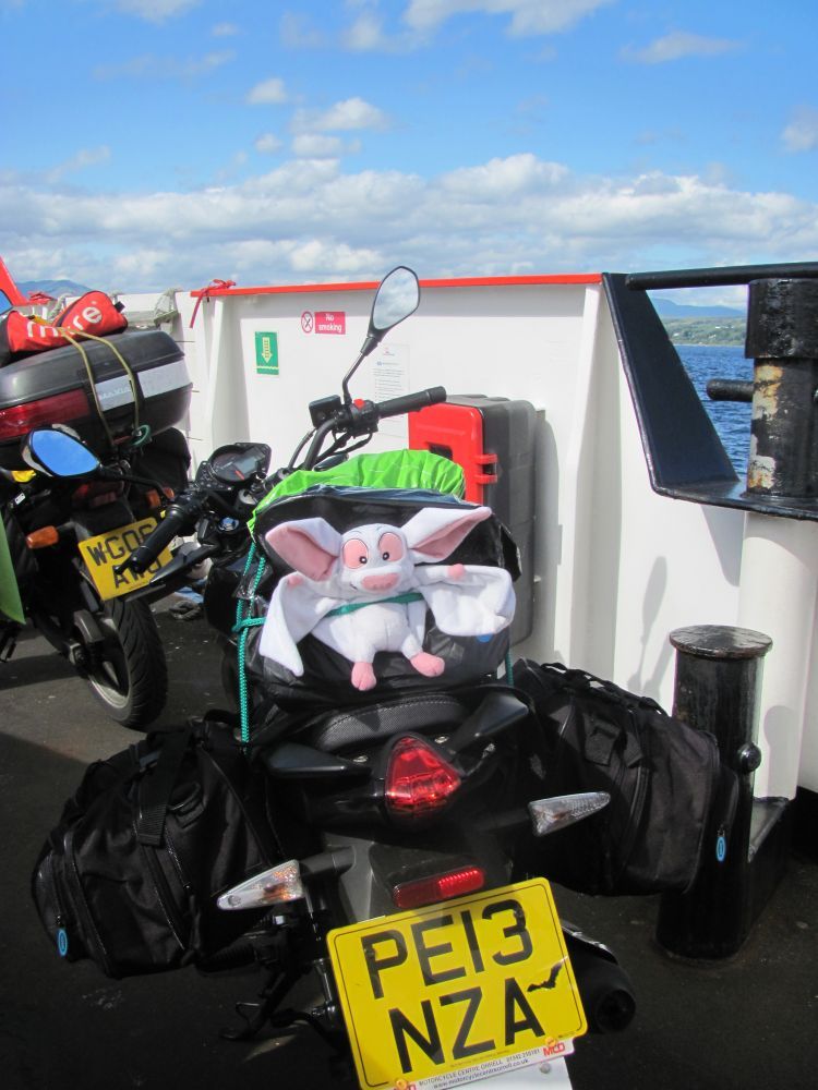 betty the toy bat on sharon's motorcycle on the ferry across the firth of clyde