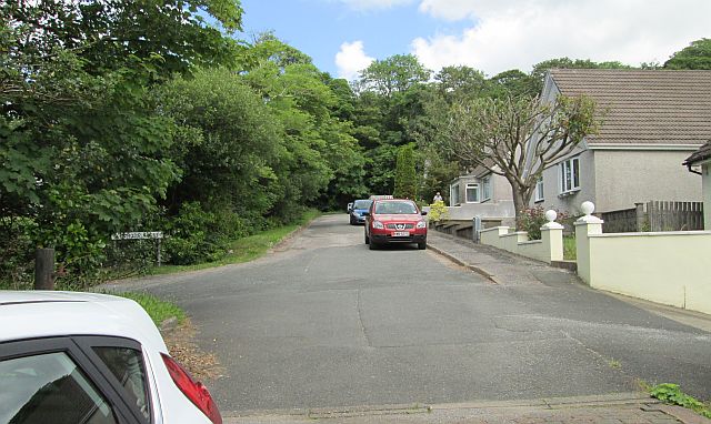 a tree lined street in the sunshine, seen from the cottage on the isle of man