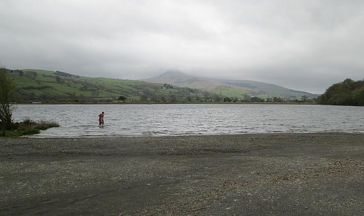 A man wades into Lake bala on a misty and grey morning