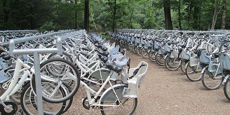 Hundreds of white bicycles on racks in the forest