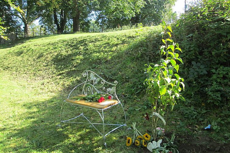 The small stylish bench and the young tree near Devil's Bridge