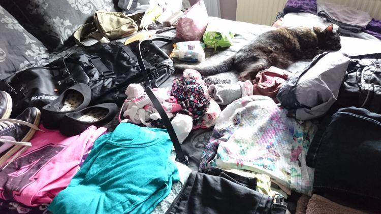 Clothes, shoes, bags, make up and Sharons cat on the bed