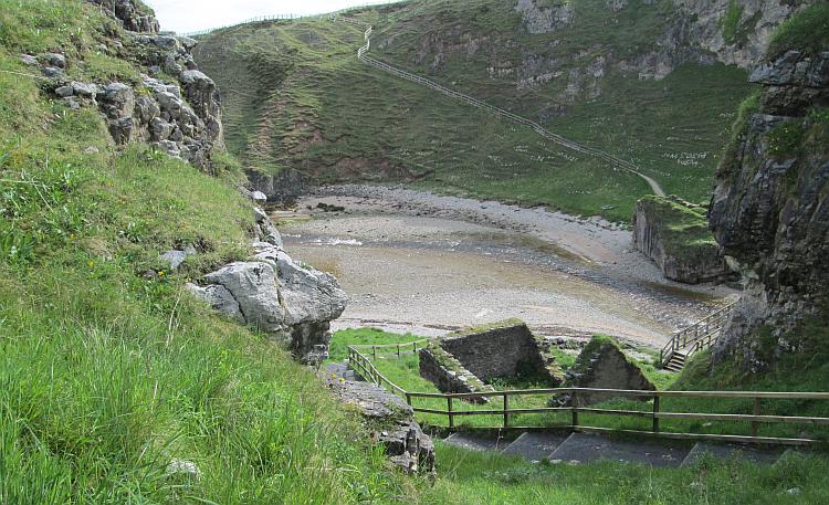 Steps cut into the steep hillside of the cove lead down into the cove's bottom