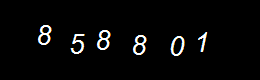 Real Person Number
