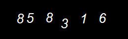 Real Person Number