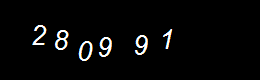 Real Person Number