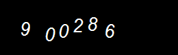Real Person Number
