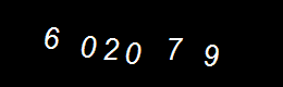 Real Person Number