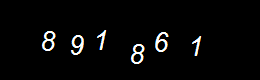 Real Person Number