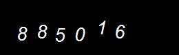 Real Person Number