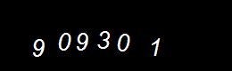 Real Person Number